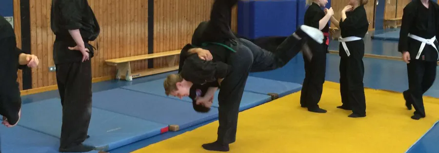 Wurftechnik im Bujinkan-Training